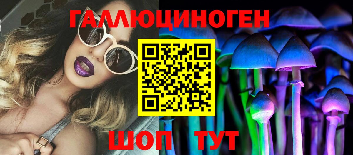 Галлюциногенные грибы Psilocybe Серпухов