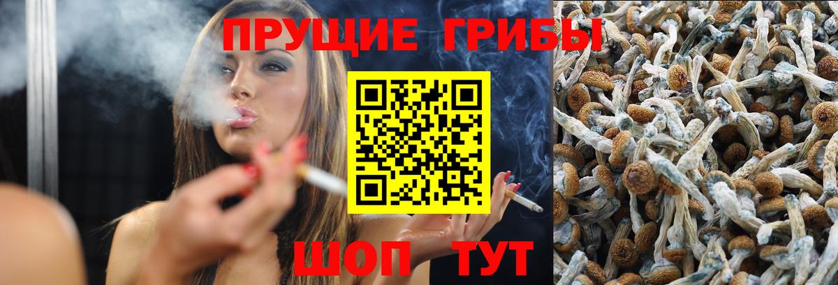 Псилоцибиновые грибы Cubensis  Псилоцибиновые грибы ЛСД  наркота  Серпухов  Вход с VPN 